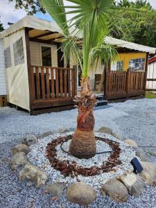 Campings camping soleiluna : photos des chambres