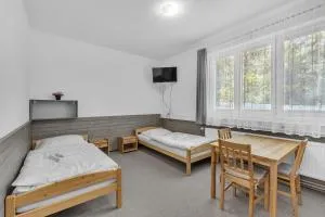 Apartmány a ubytování Přemyslova, Hradec Králové - 赫拉德茨 - 克拉洛韦
