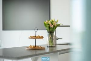 Zwem & Zen - spacious apartment with outdoor pool