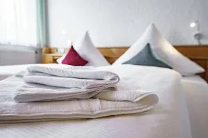 Landgasthof Ochsen - Dossingen