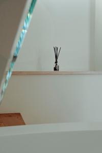 Urbino Apartment - Torricini View