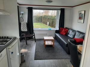 Chalet dichtbij zee en duinen