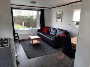 Chalet dichtbij zee en duinen