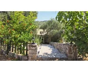 Adamantia 17th Century Room D1 - Bogdanátika