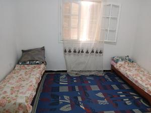 مستغانيم صلامندر