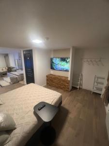 Appartements Loft ravissant 45m2 Jacuzzi RVB NIGHT 2 : photos des chambres