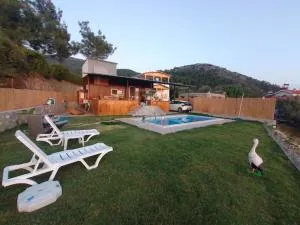 Moonlight Tiny House - Bezkese