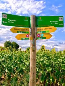 Torre Costa Brava Private pool