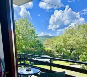 APARTMA BRIN Podgorje - Podgorje