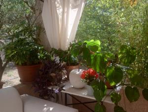 Appartements Entre Vignes & Piano 