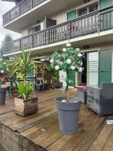 Appartements Belle Vue de St Gervais : photos des chambres