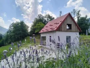 Holiday home Dreams - 科巴里德