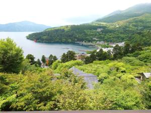 Chalet Itomic M - Mountain view -