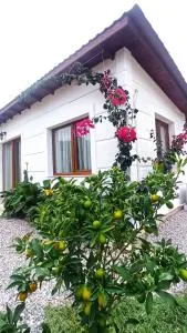 Kavurlukoz Butik Apart - Saip