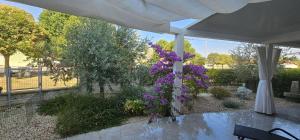 Apartman Magnolija Umag