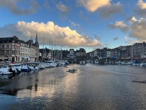 Appartements Studio Le nid de pie : Studio - Vue sur Mer