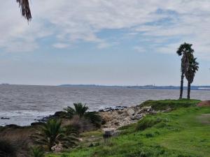 En el mejor lugar de Montevideo