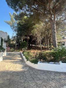 Villa Bouganville 2 Ostuni
