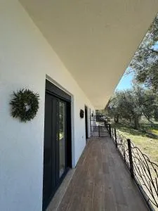 Villa Shega - 博尔什