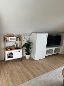 55m2 Chemnitz Rabenstein Kids Welcome, Wifi, Privater Parkplatz, Waschmaschine, Babybett, Klimaanlage
