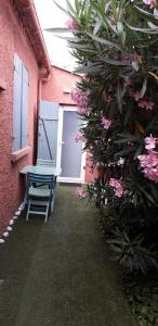 Appartements la garrigue : Appartement 1 Chambre