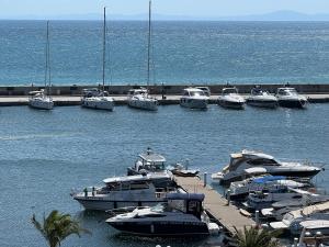 Phoenix APARTMENT Апартамент Феникс