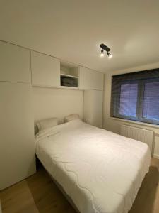 Sunny Bells 0102 R-141