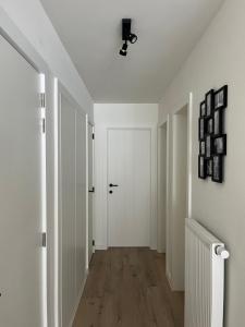 Sunny Bells 0102 R-141