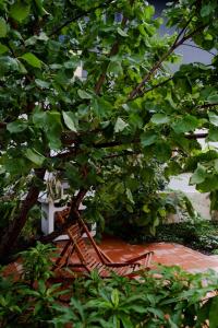 Francesco Terrace - Piazza Bologna, Rome