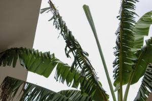 Casa Beira-Mar na Praia da Ferrugem Unidade Lumina