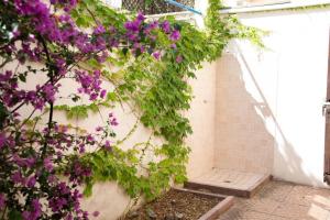 Palm Garden House - Cala Gonone img8