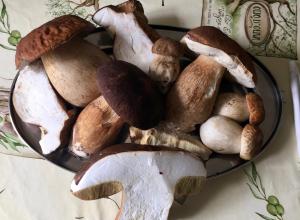 Manoir Bnburgundy 8 P