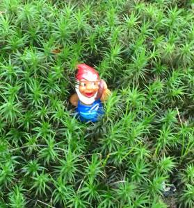 Manoir Bnburgundy 8 P