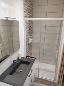 Appartements Appartement T1 centre-ville Beaupreau : photos des chambres