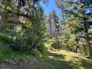 Chalet dans la verdure - Les Chapeliers