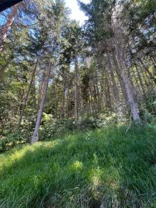 Chalet dans la verdure - Les Chapeliers