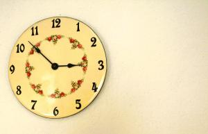 Zelený prostorný aparmán v Českém Ráji