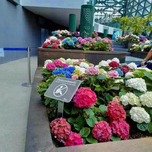 ยูโฮม หนองแฟบ