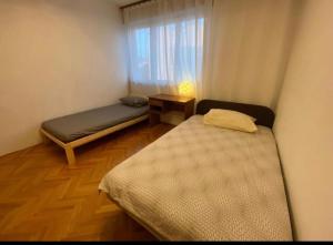 Majas place in city center