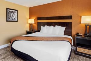 King Room - Non-Smoking room in Best Western Plus Newark Airport West