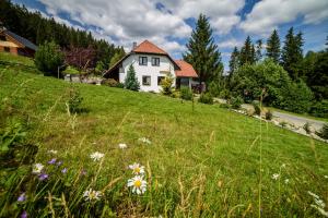 Prázdninový dům - Apartmány Vltavice