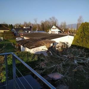 110 m2 Wohnung mit Terrasse in Cheyres VIVARTE Feriencheyres