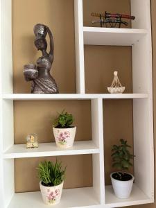 Edion Center Apartment