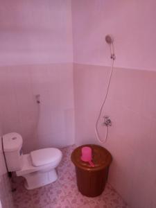 Tiger fish homestay