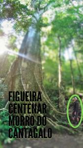 Villa Serenitá 3 - Piscina Fogueira Churrasqueira