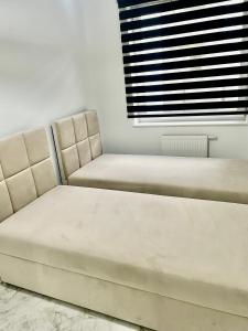 Prestige Slow Lake Centrum Jezioro Magistrackie 100m Internet