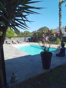 B&B / Chambres d'hotes Chambres d'Hotes Le Mas du Bijou Bleu : photos des chambres