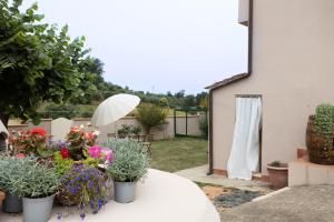 Il Colle affittacamere