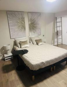 Loft ravissant 45m2 Jacuzzi RVB NIGHT 2