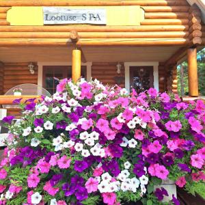 Lootuse Spa